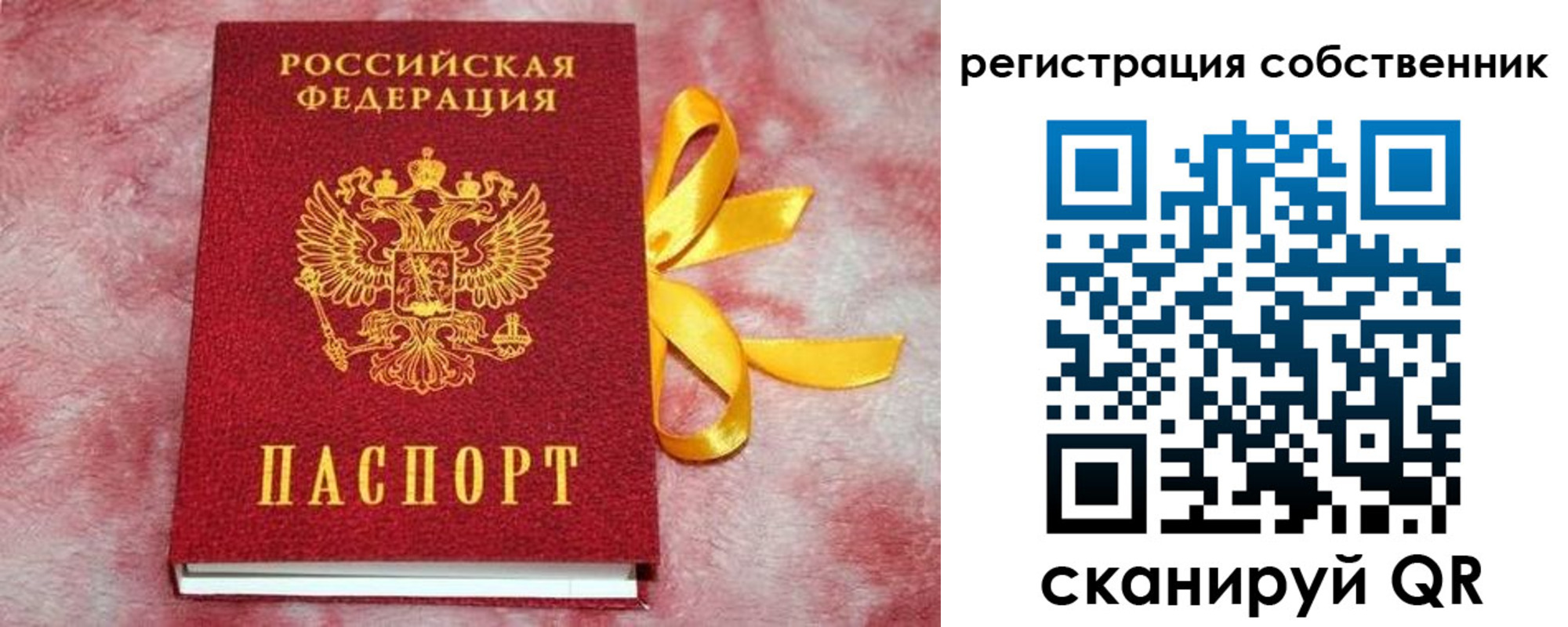 прописка для работы в Химках